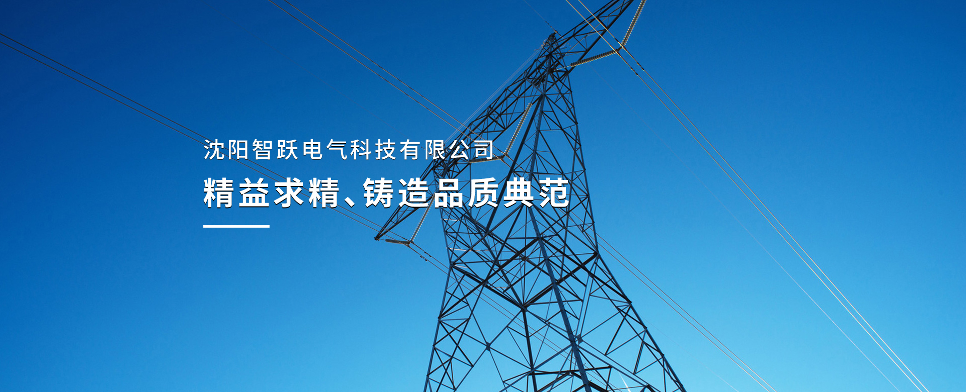 沈陽智躍電氣科技有限公司
